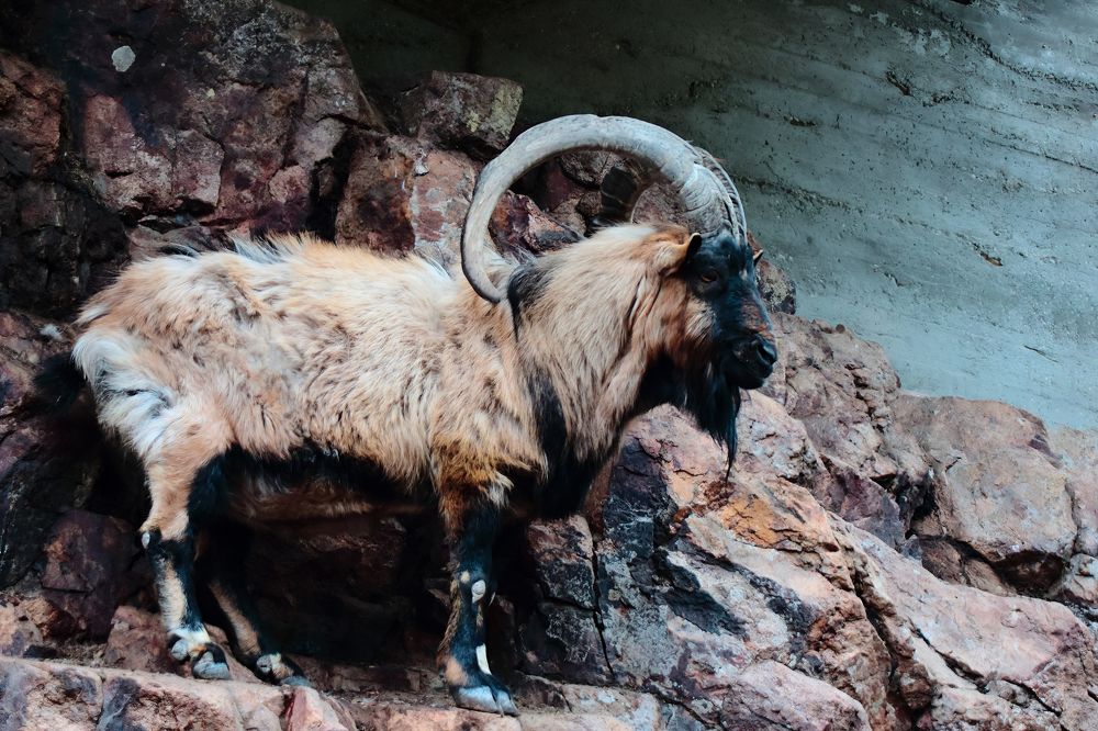 Photograph by Ирина Шибитова