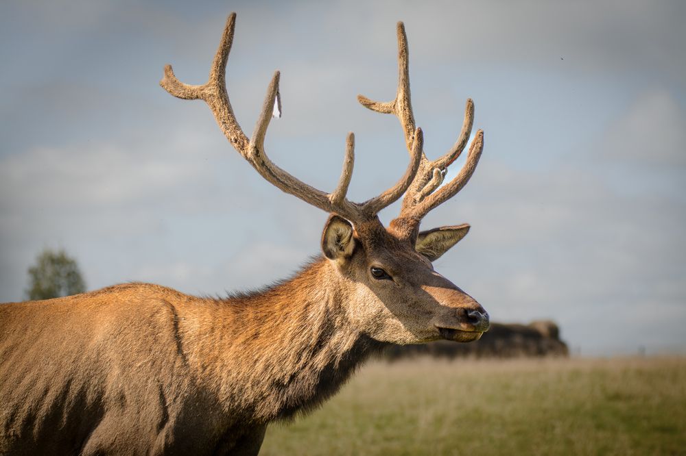 Photograph by Олег Бережных