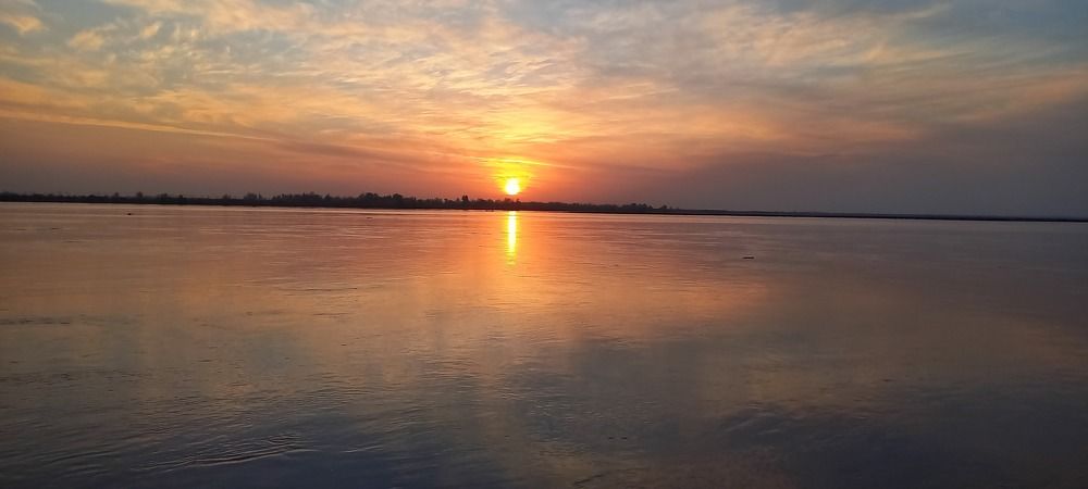 Photo #11473080