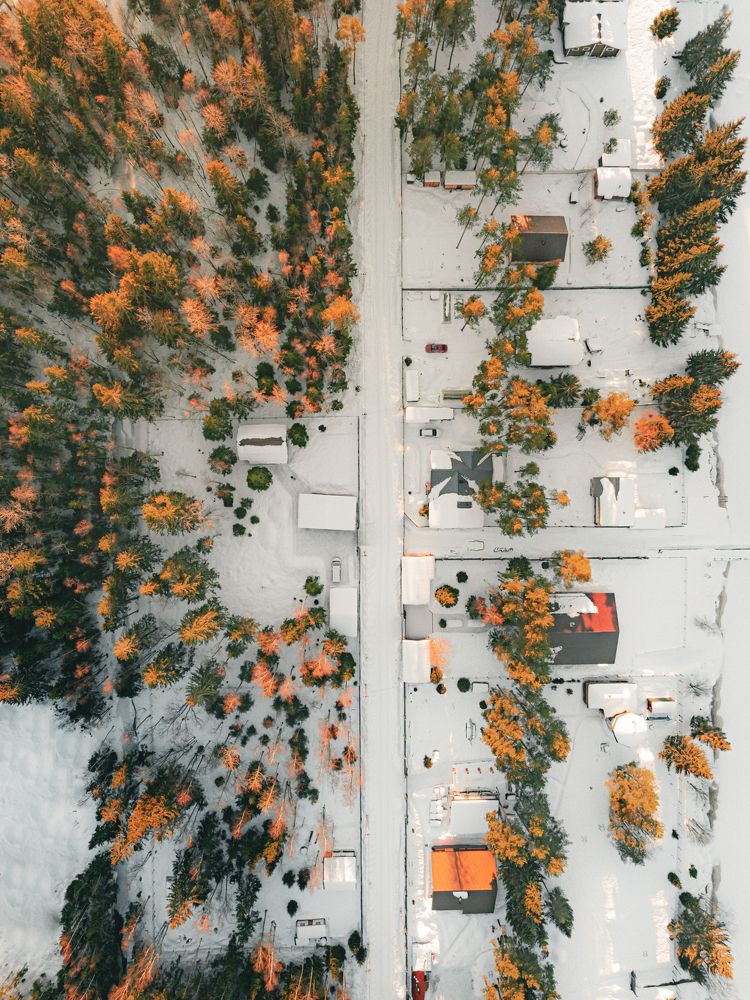 Photograph by Alina Yantsen