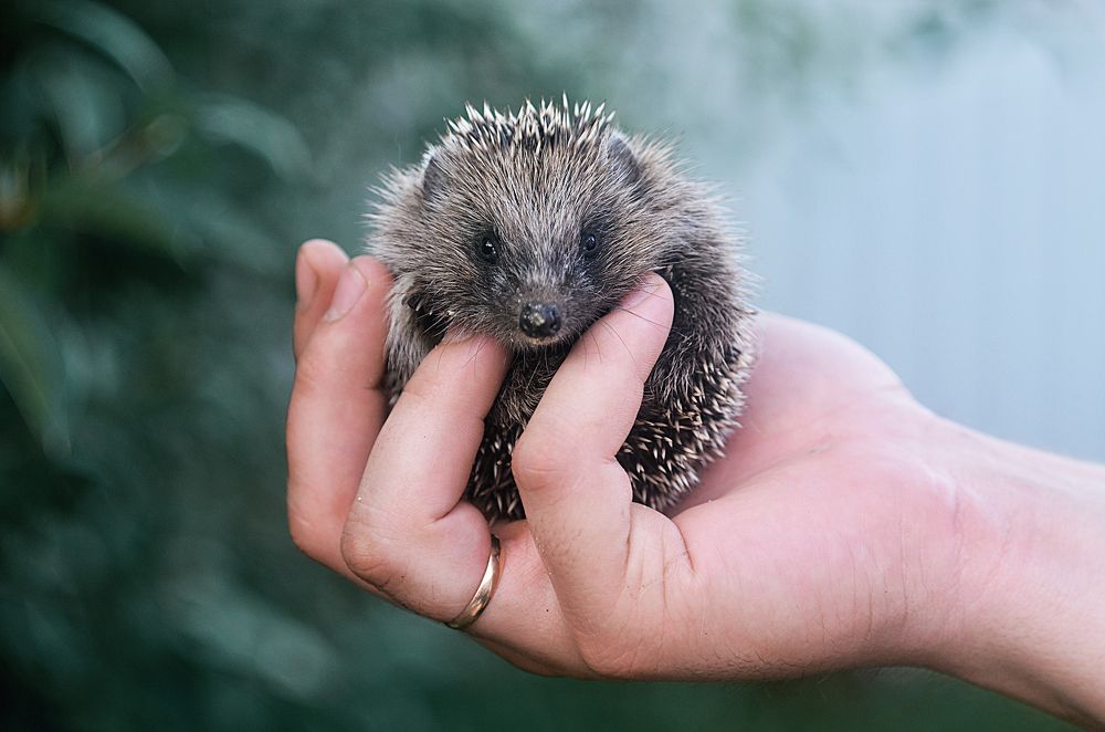 Photograph by Лапшина Владлена