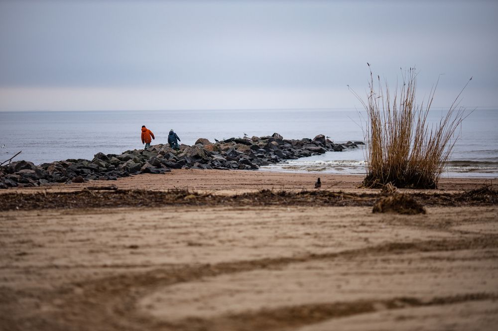Фотография автора Станислава Гордеева