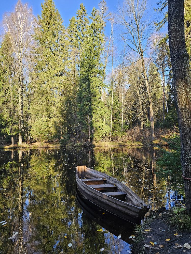 Photograph by Елена