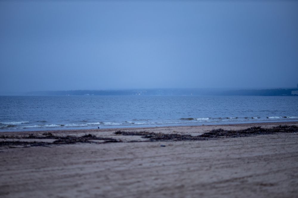 Фотография автора Станислава Гордеева