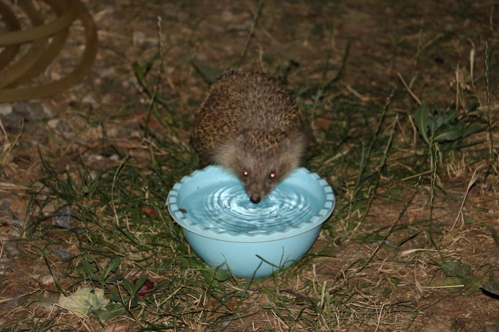 Photograph by Cengiz Yalcin