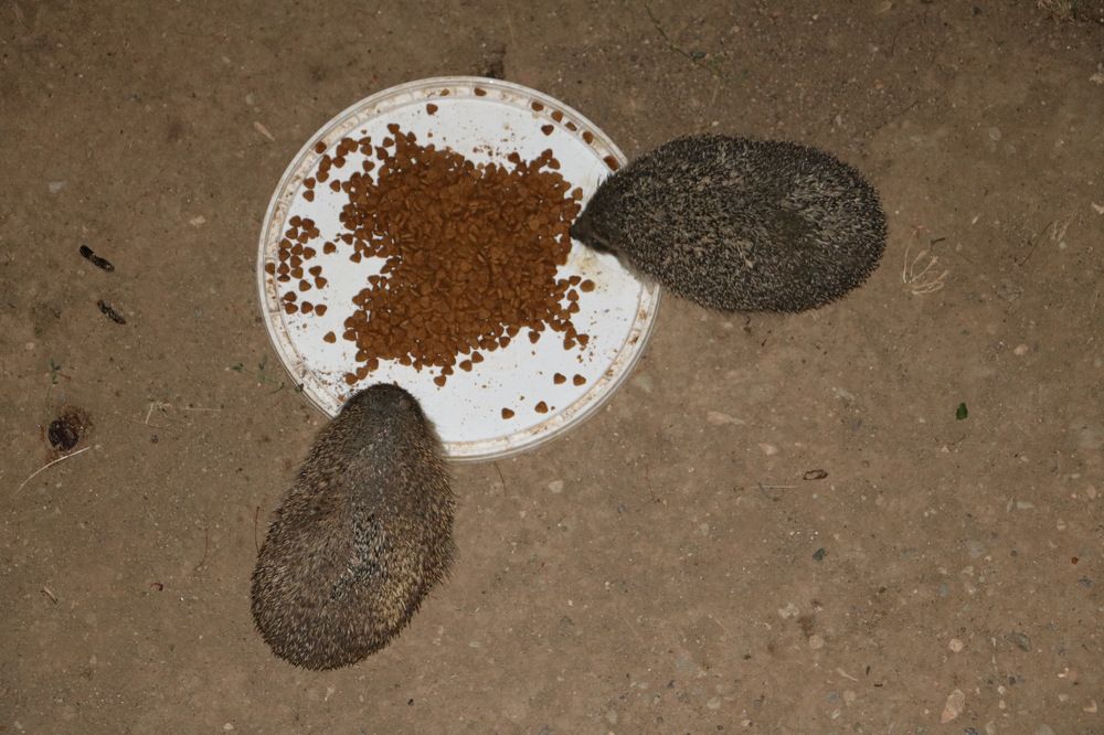 Photograph by Cengiz Yalcin