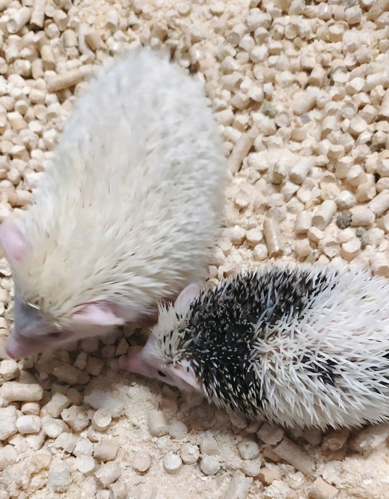 Photograph by Юлия Холомцева