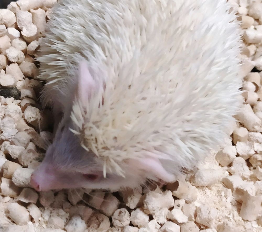 Photograph by Юлия Холомцева