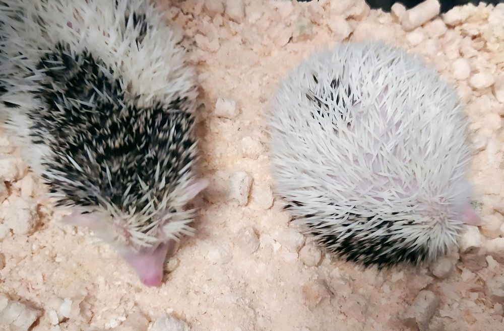 Photograph by Юлия Холомцева