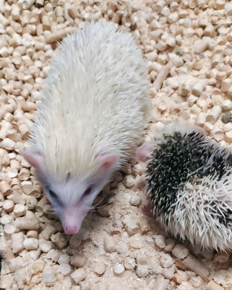 Photograph by Юлия Холомцева