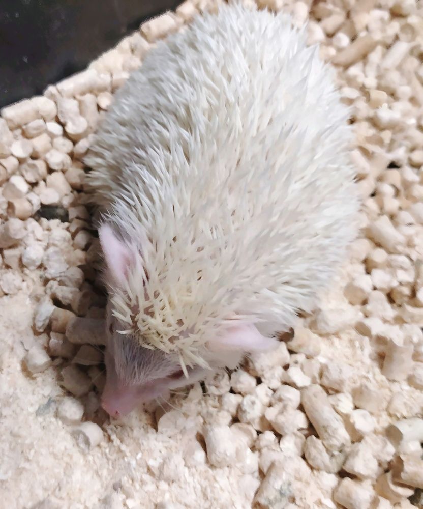 Photograph by Юлия Холомцева