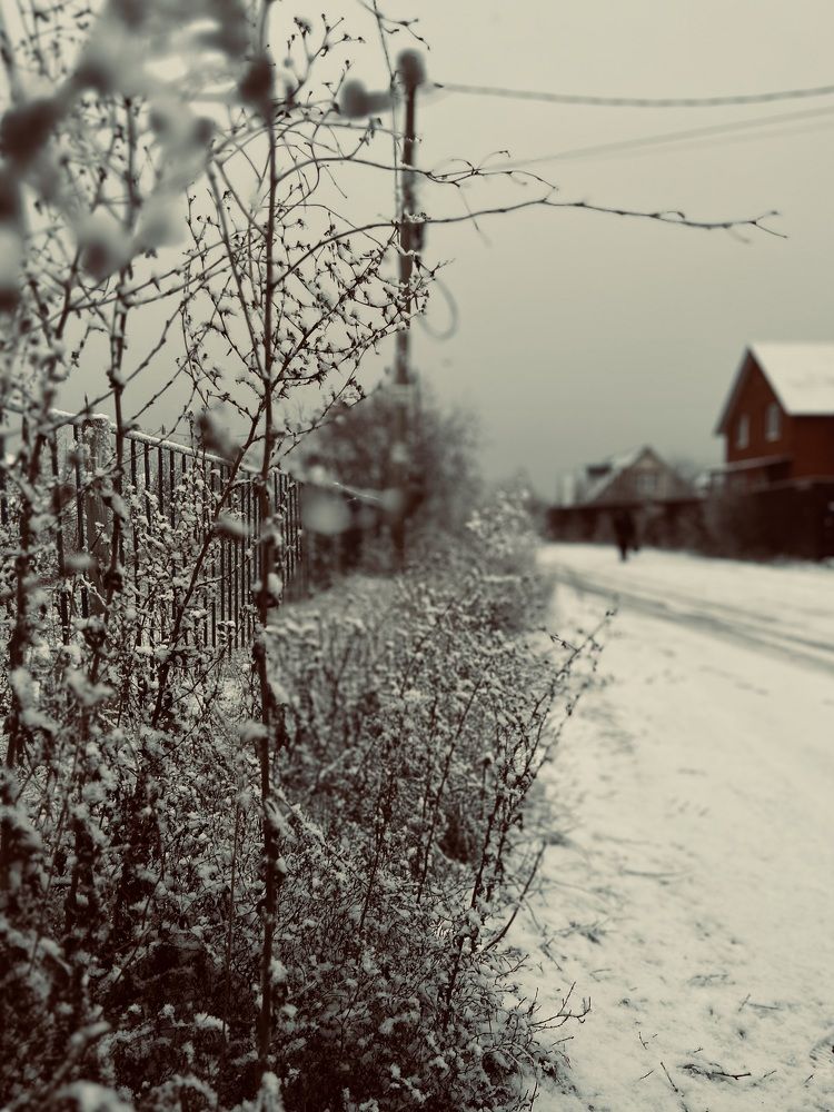Photograph by Анастасия Бушова