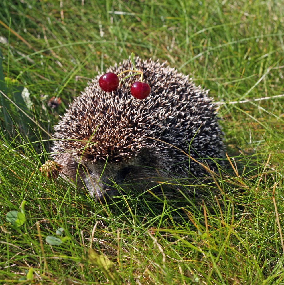 Photograph by Татьяна