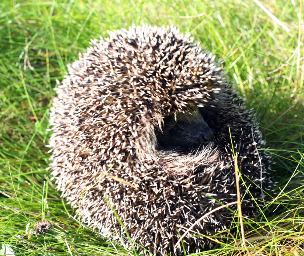 Photograph by Татьяна