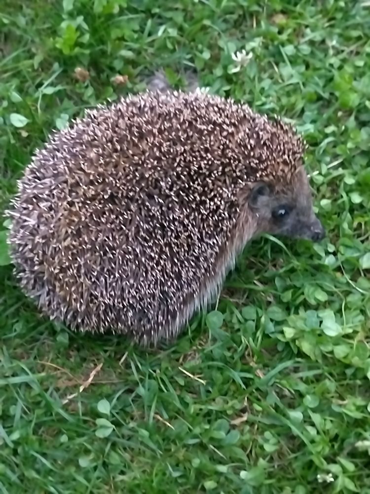 Photograph by Татьяна