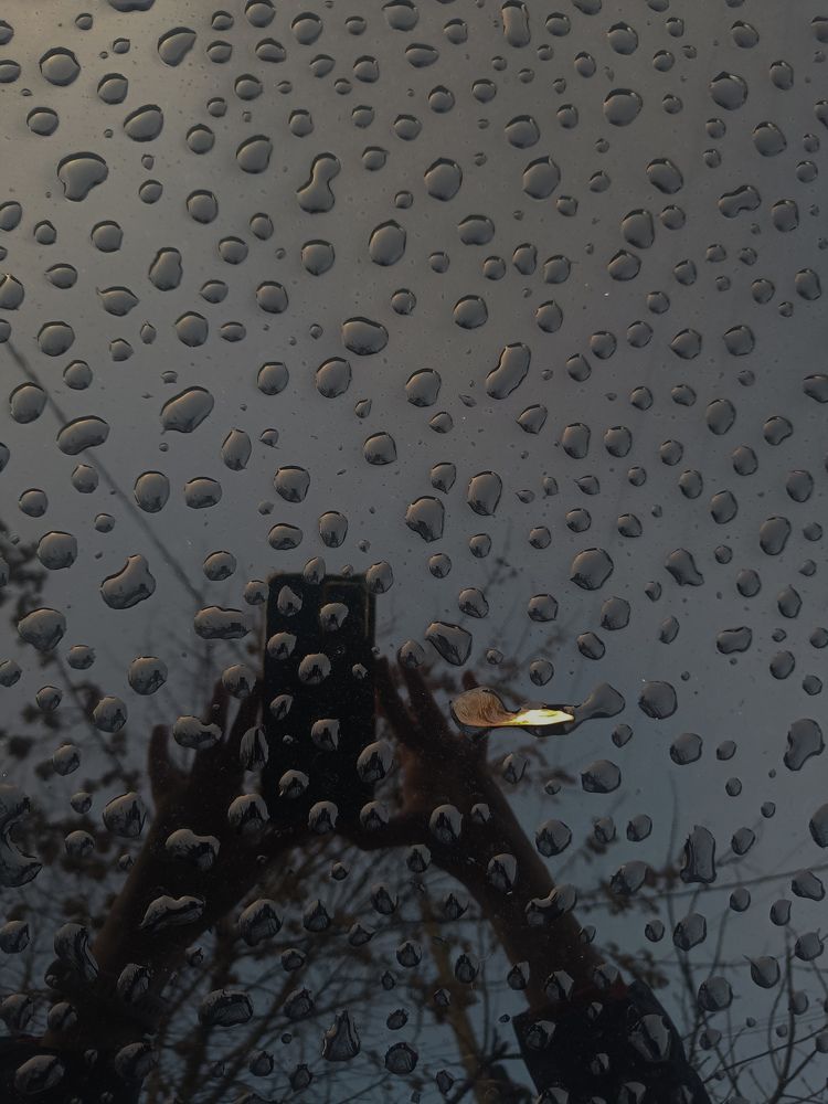 Photograph by Ирина