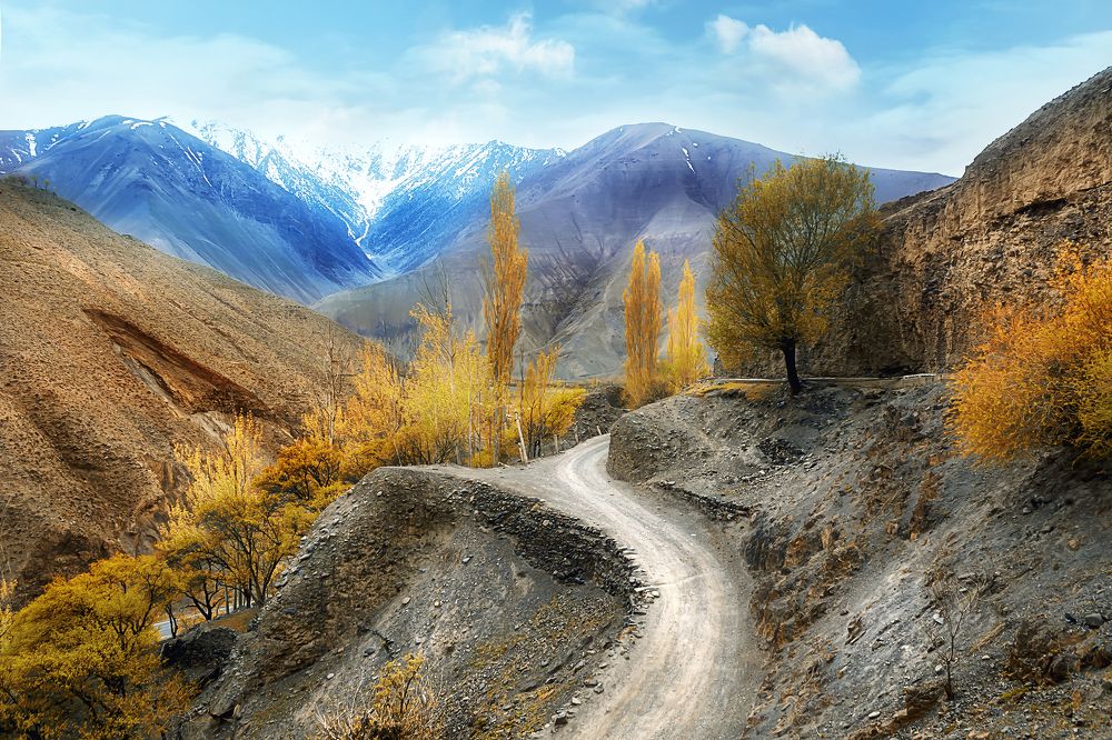 Photograph by Элеонора Имгрунт