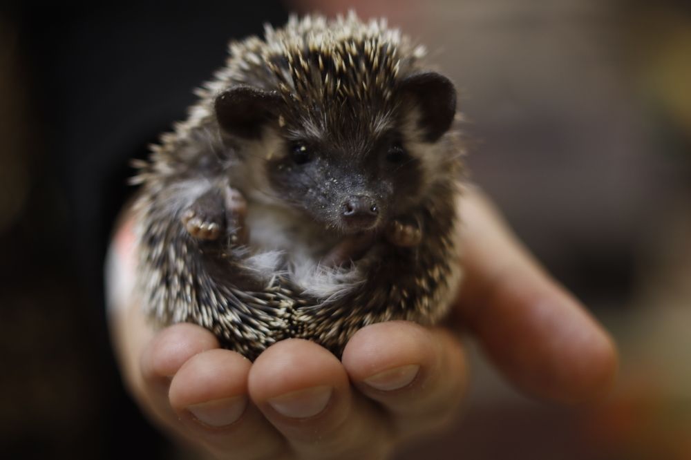 Photograph by Yana Egorova