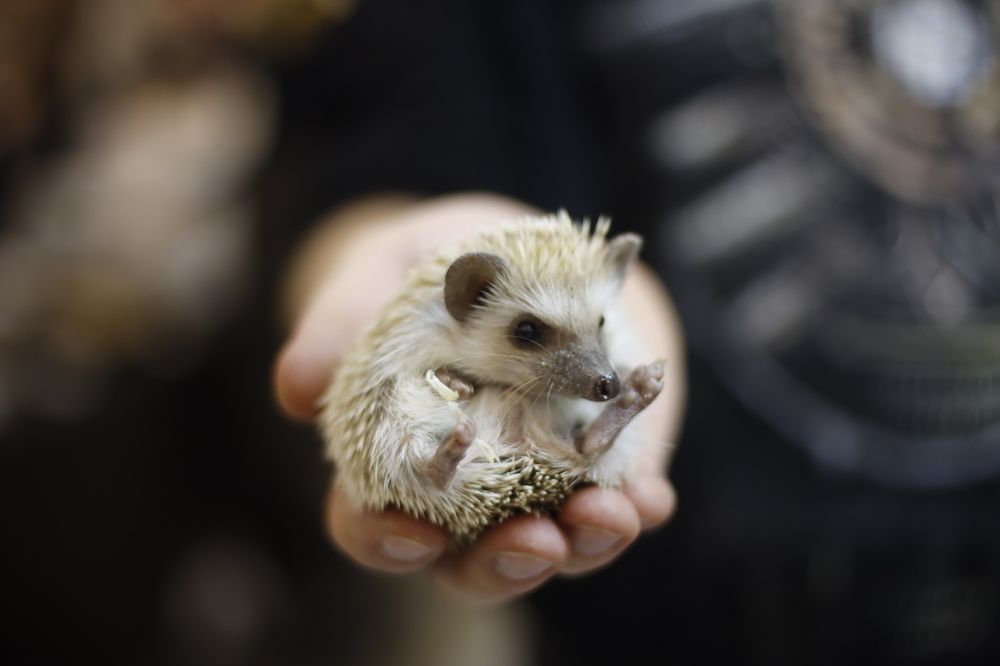 Photograph by Yana Egorova