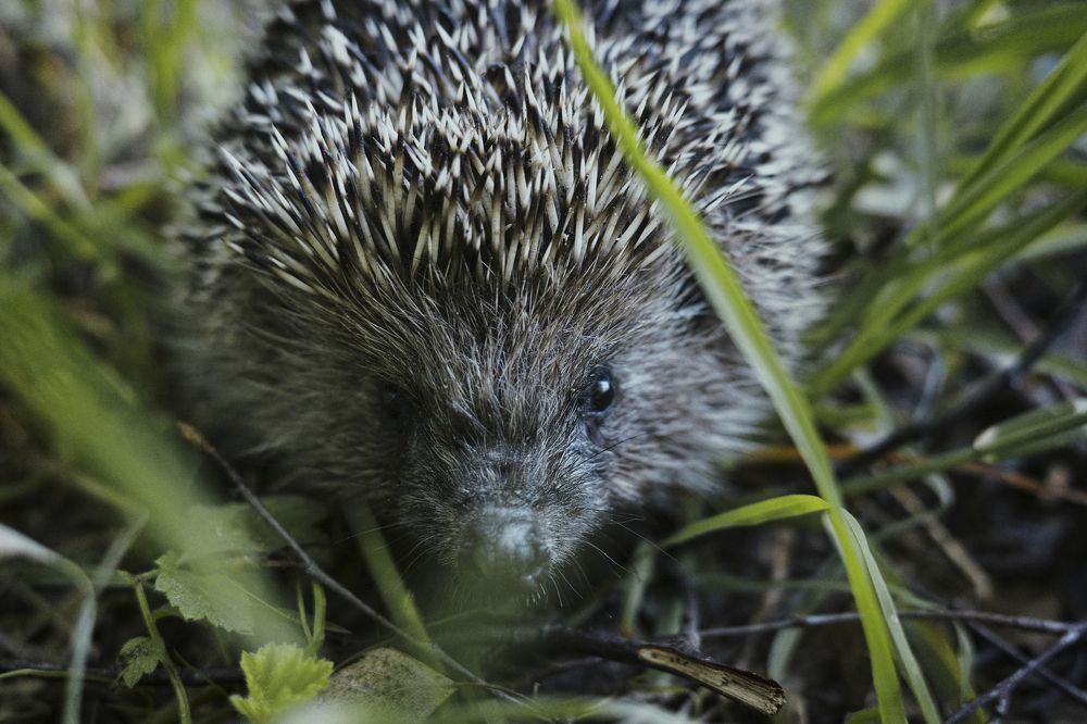 Photograph by Yana Egorova