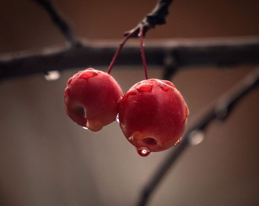 Photograph by Сергей Здерев