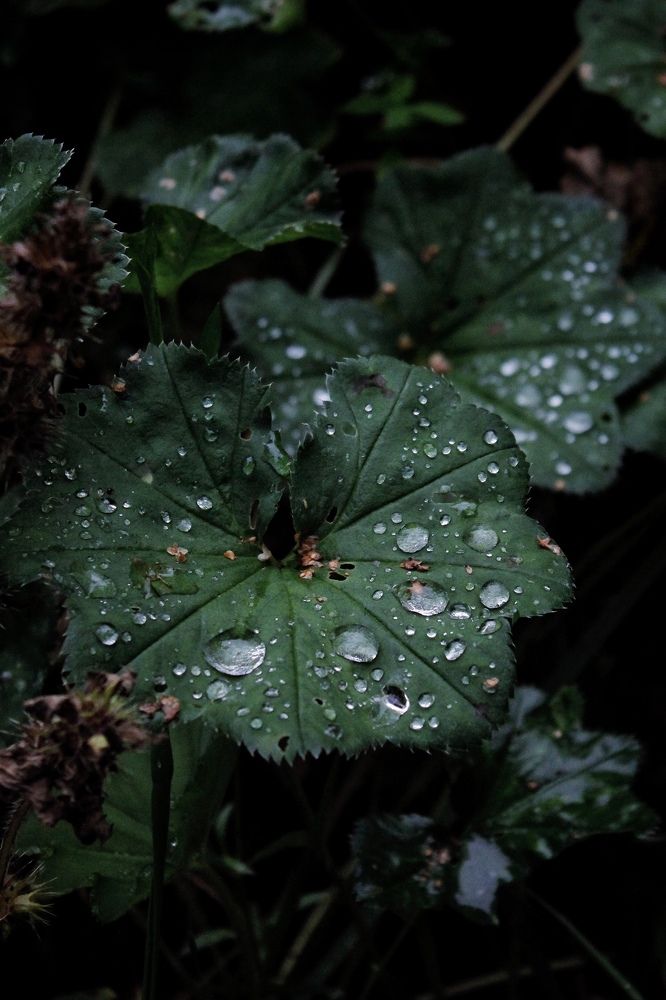 Photograph by Астафьева Анастасия