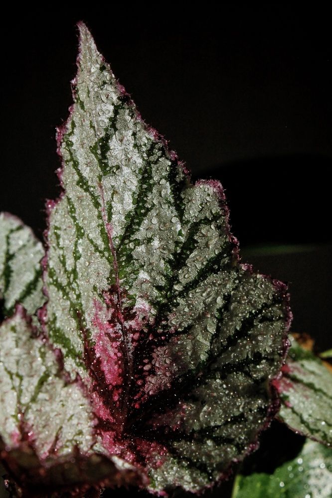 Photograph by Астафьева Анастасия