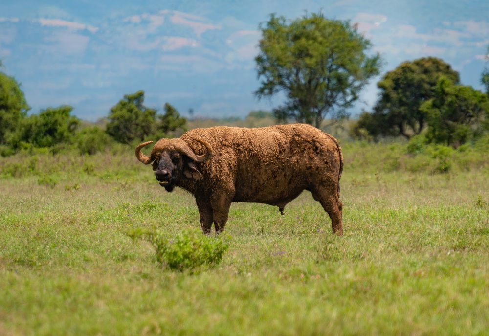 Photograph by Светлана Богданова