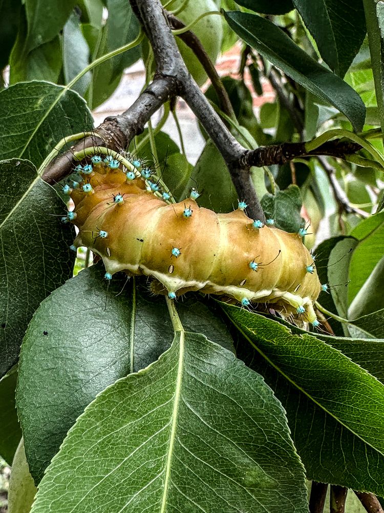 Photograph by Анна Петриенко