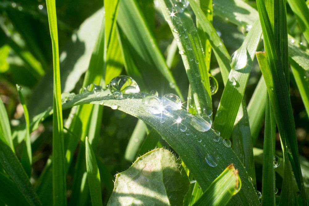 Photograph by Евгения Антропова