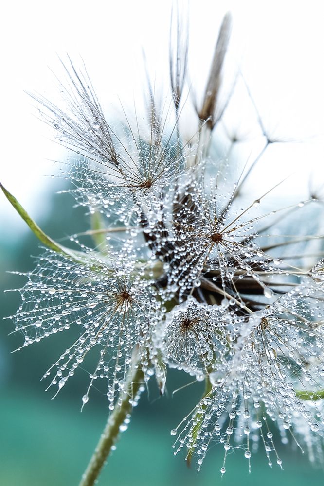 Photograph by Олеся Постнова