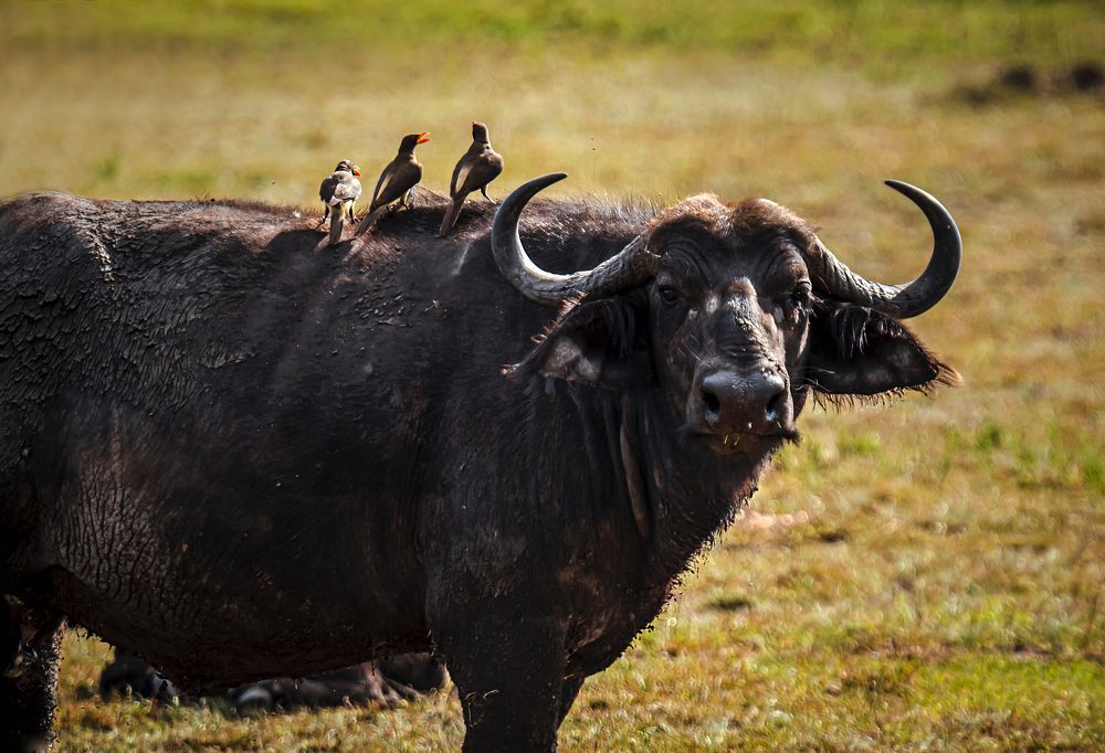 Photograph by Светлана Богданова