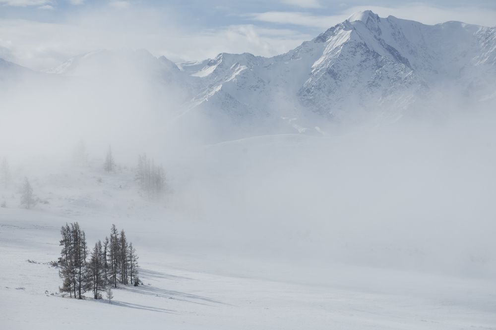 Photograph by Сергей Шерстнев