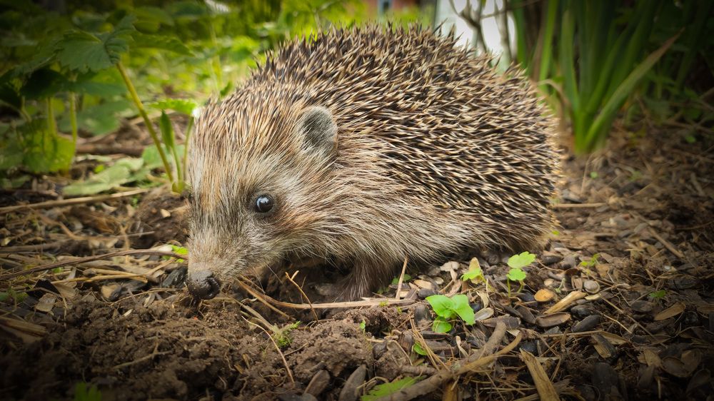 Photograph by Екатерина Никитина