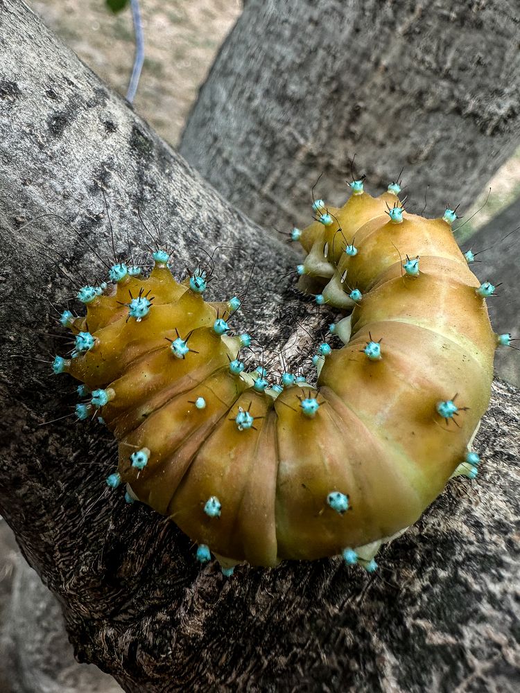 Photograph by Анна Петриенко