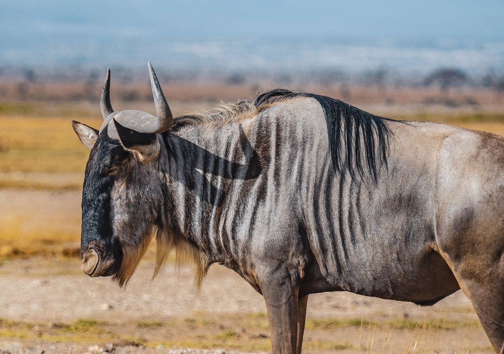 Photograph by Светлана Богданова