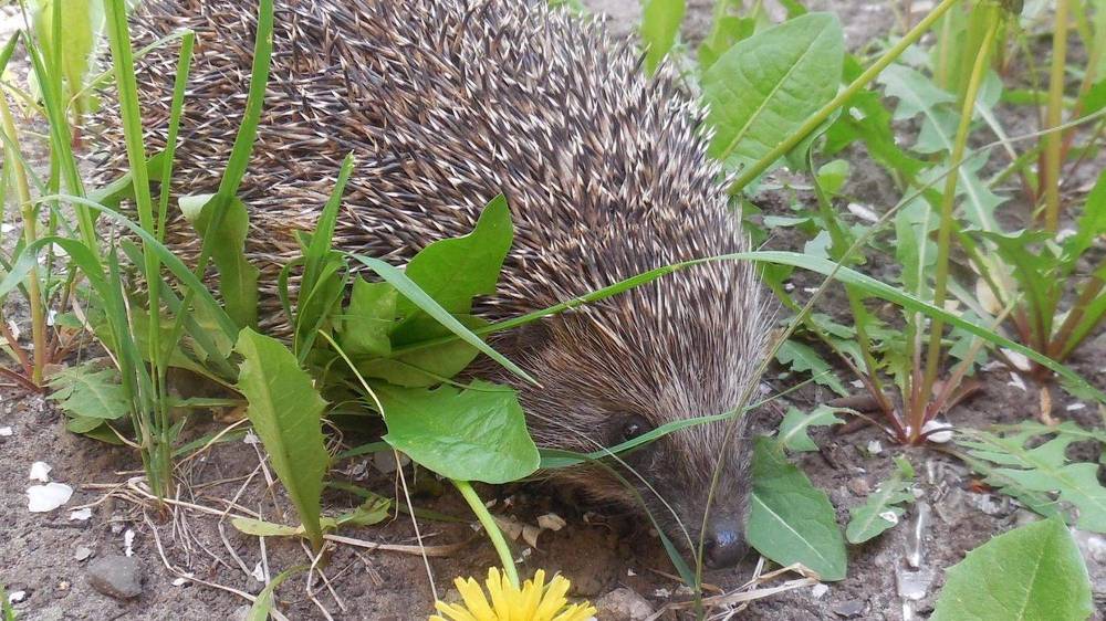 Фотография автора Павел Попов