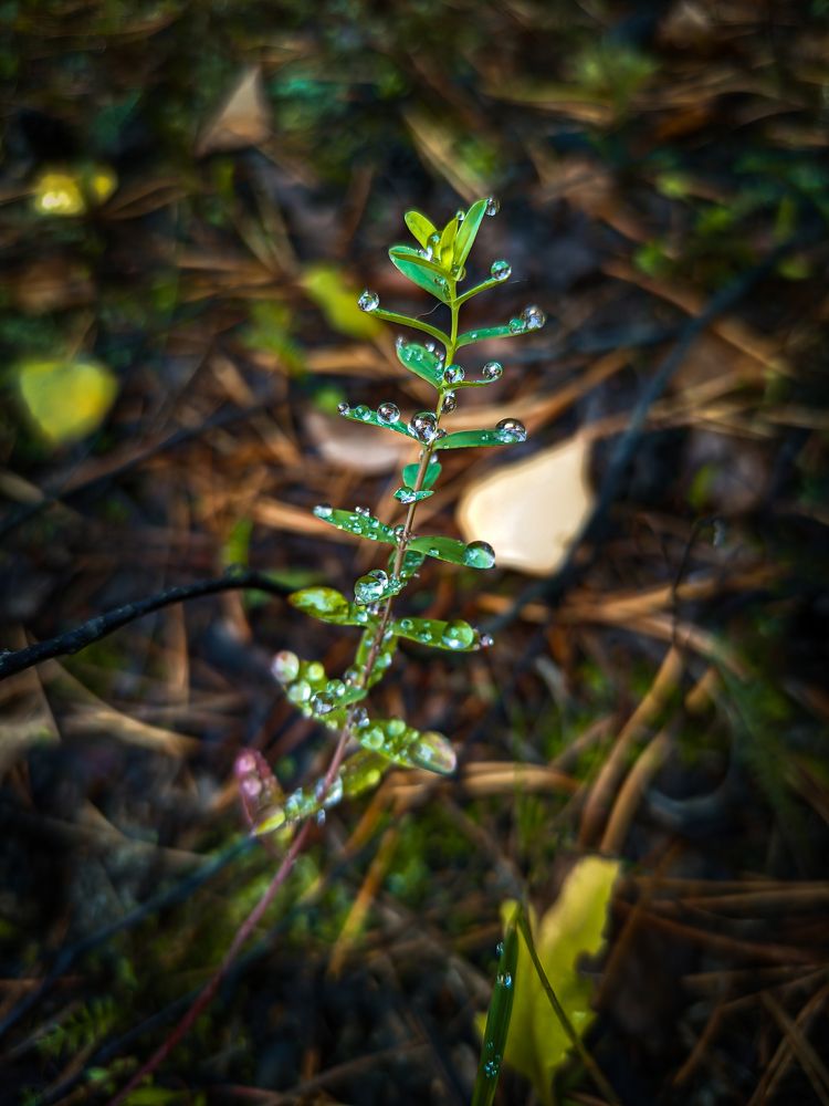 Фотография автора Александр Хухлов
