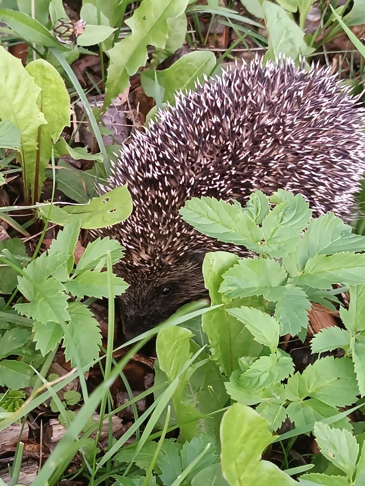 Photograph by Nikita Zorin