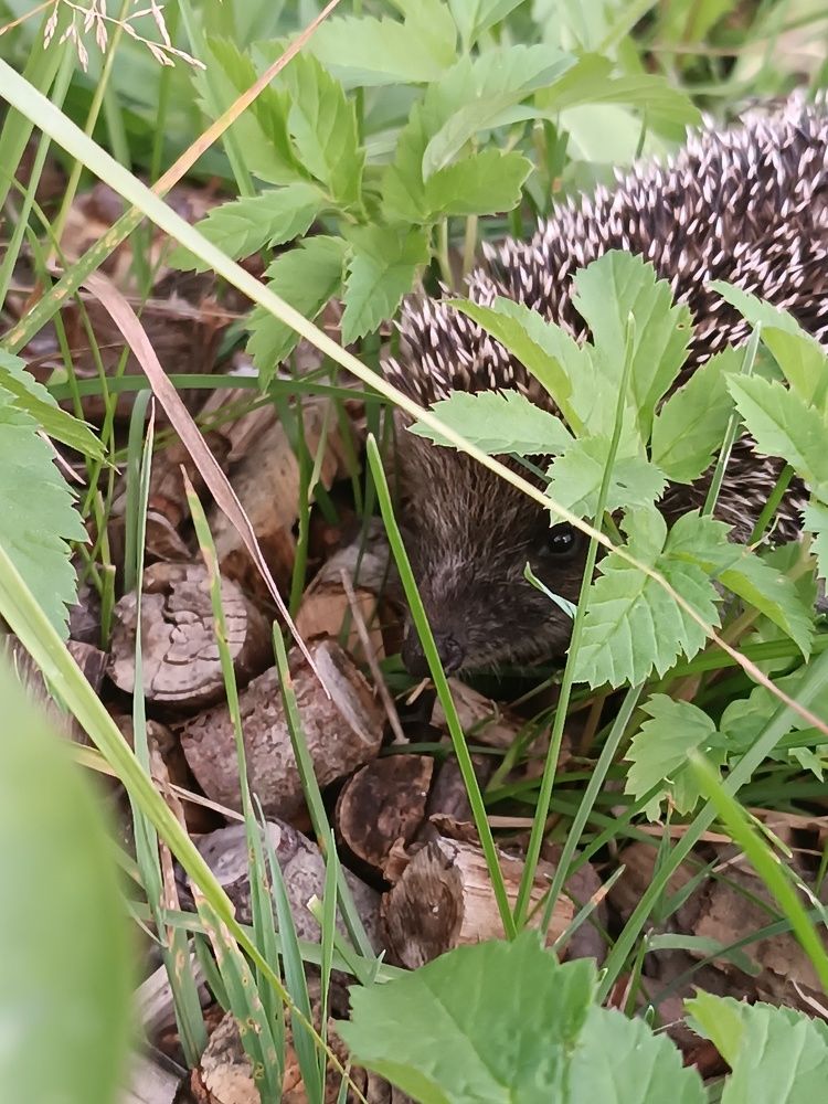 Photograph by Nikita Zorin