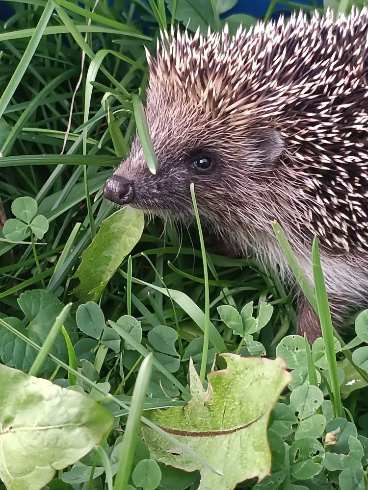 Photograph by Nikita Zorin