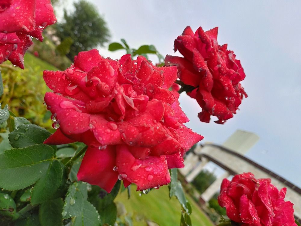 Photograph by Людмила Сотникова