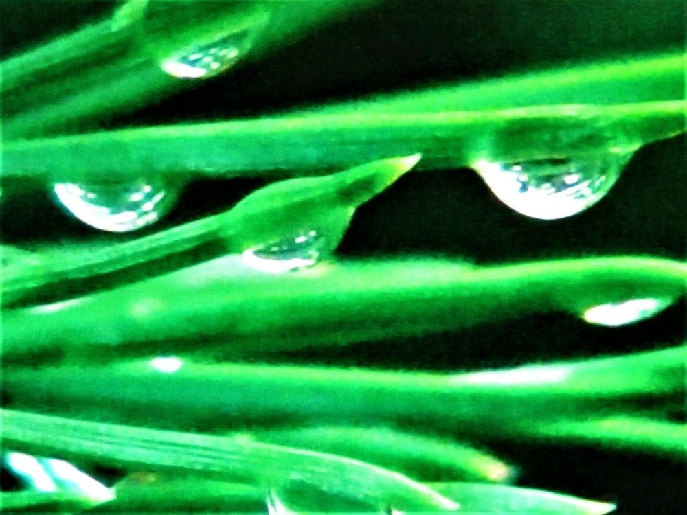 Photograph by Галина