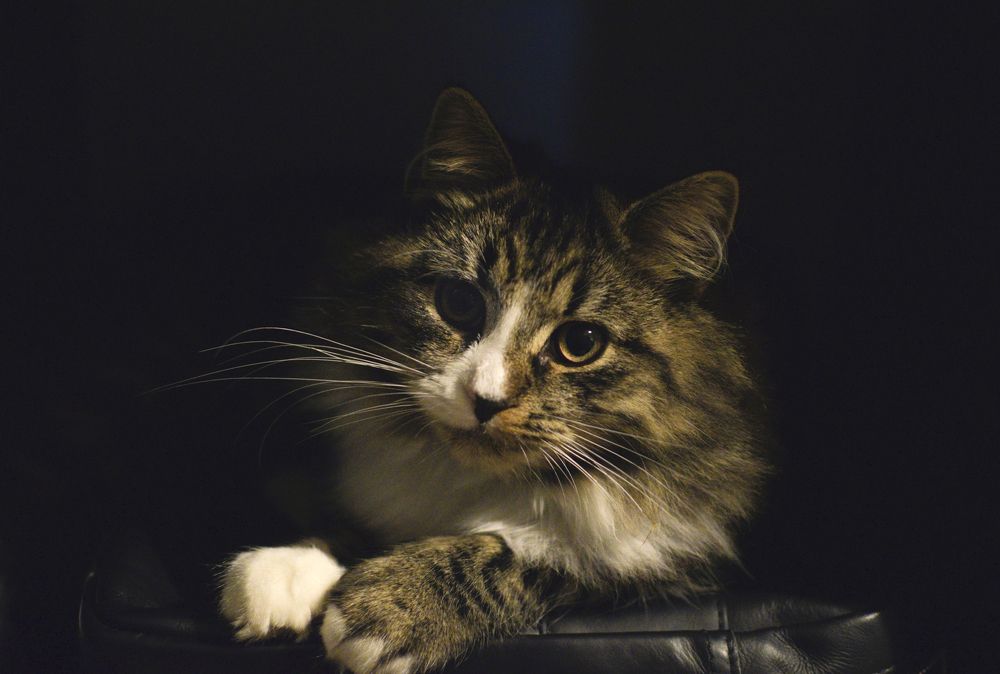 Photograph by Леонид Безручко