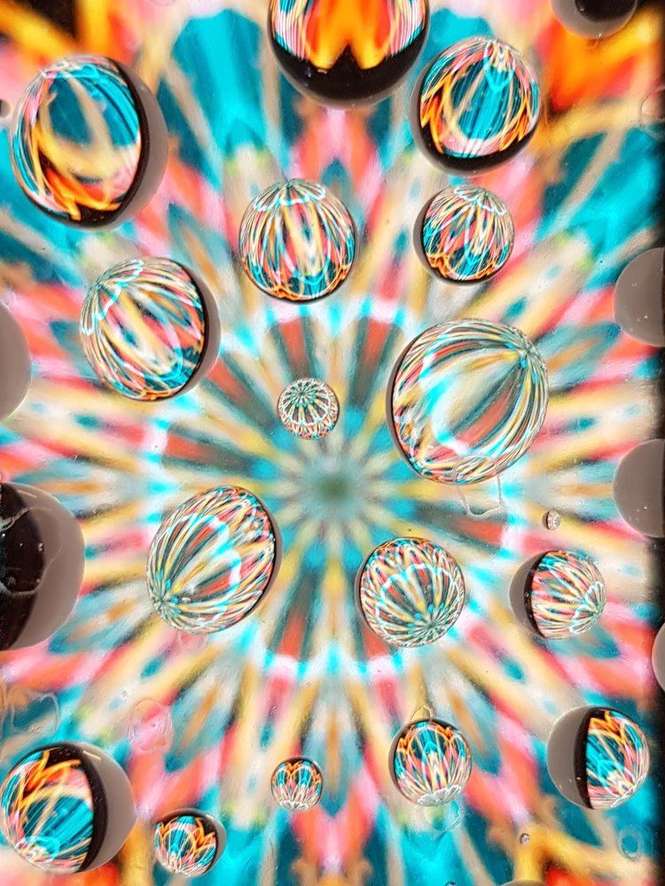 Фотография автора Максим Грибанов