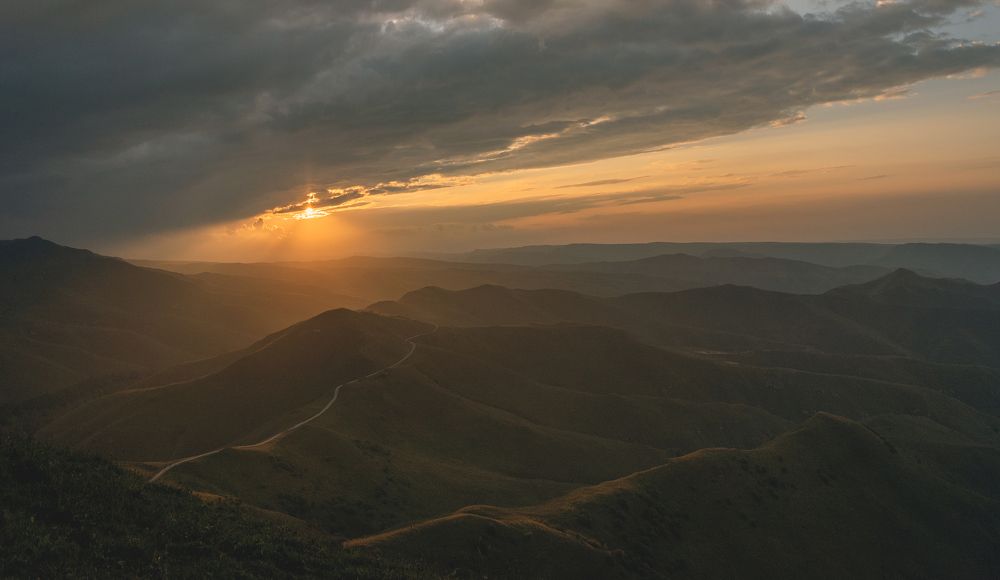 Фотография автора Шипунова Ирина