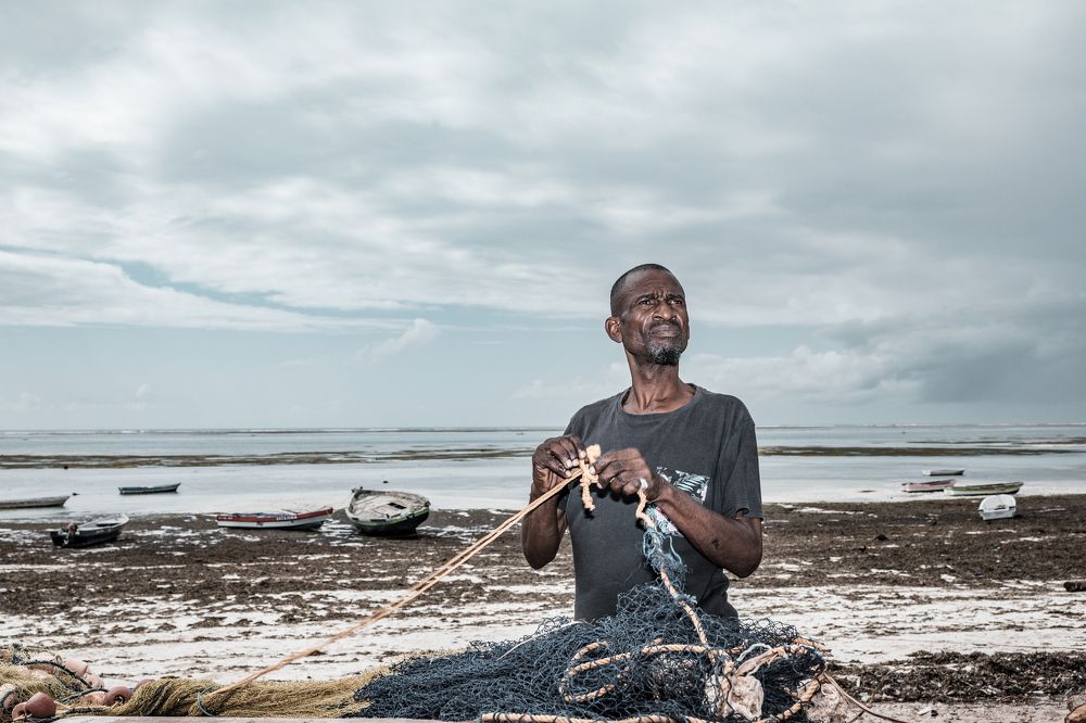 Photograph by Trivet Antony