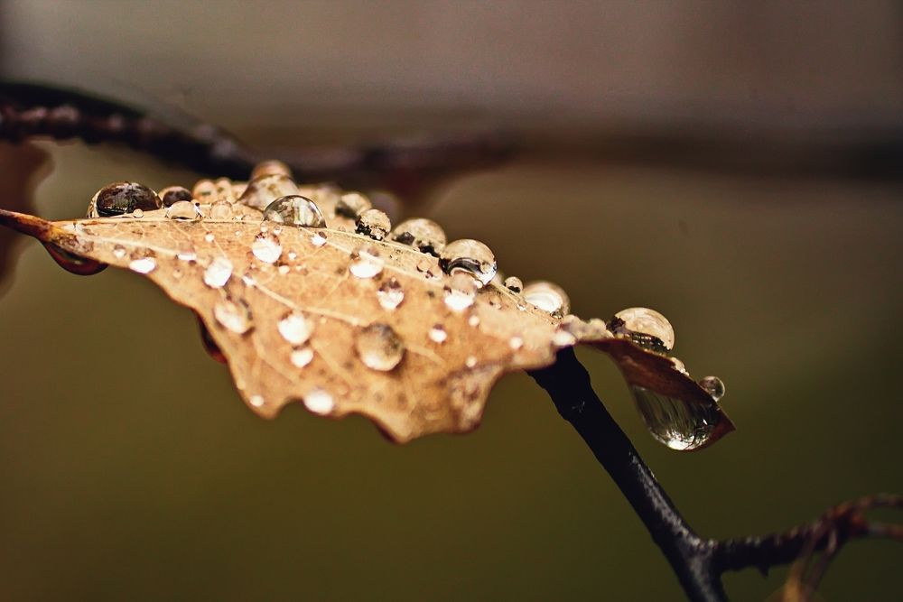 Photograph by ANTON KLYUSHIN