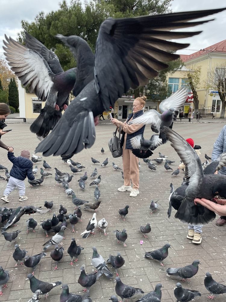 Photograph by Татьяна Токарева