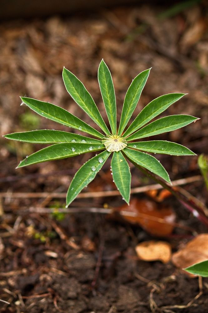 Photograph by ANTON KLYUSHIN